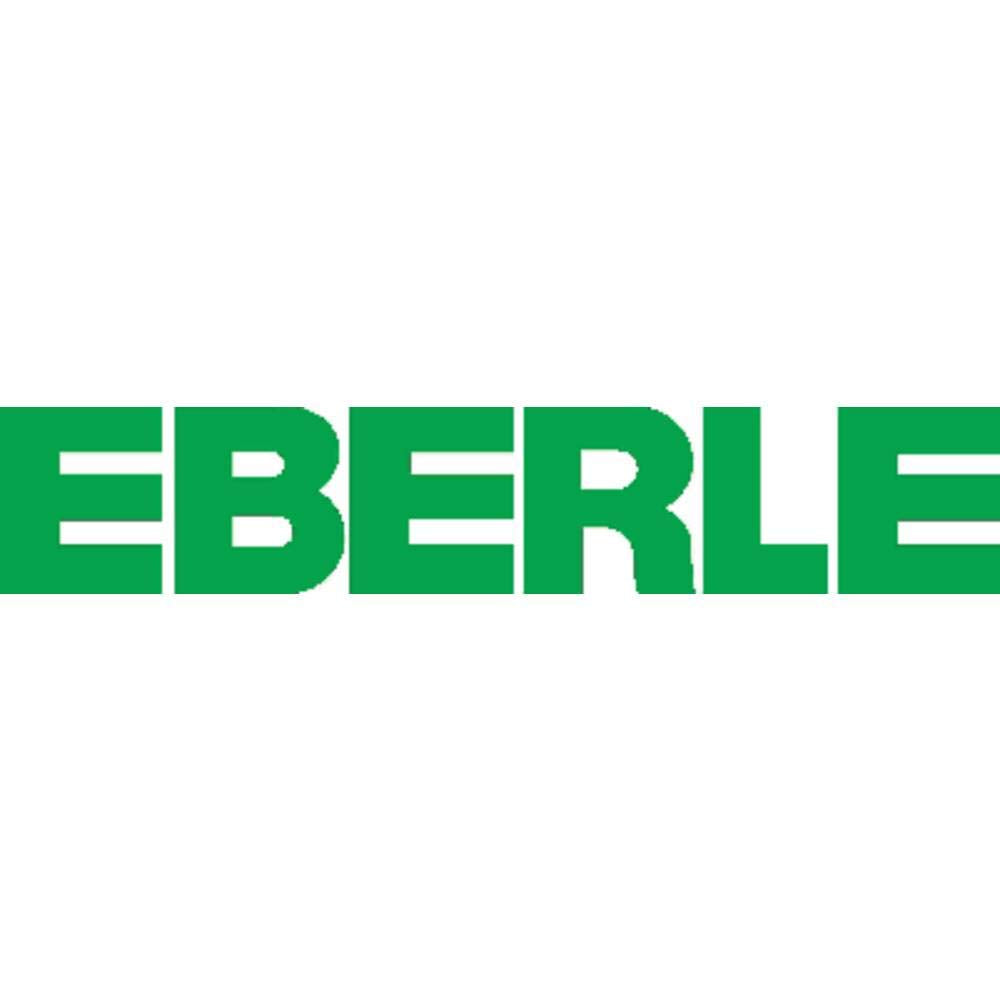 Eberle 1482030 111110151100 Raumregler RTR - E 6121, 5-30°C Single, Single