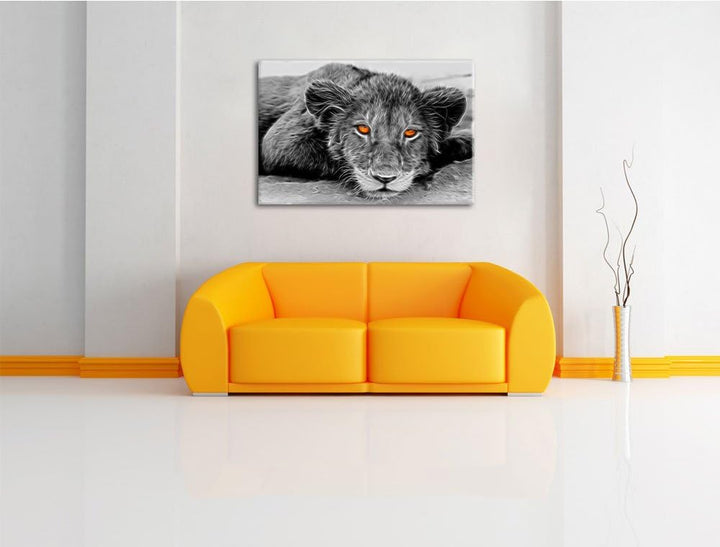 wachsamer junger Löwe schwarz/weiss Deluxe Format: 100x70 cm auf Leinwand, XXL riesige Bilder fertig