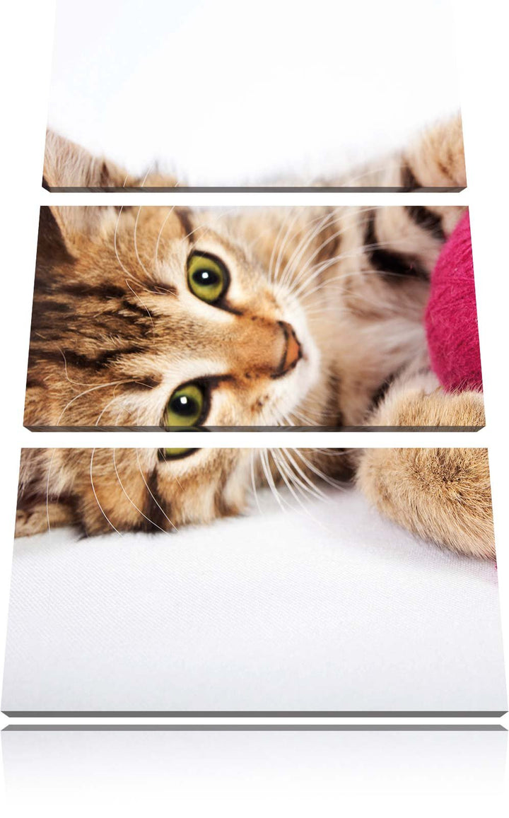 Pixxprint Kätzchen mit Wollknäuel als Leinwandbild/Grösse: 3 Teilig (120x80) cm/Wandbild/Kunstdruck/