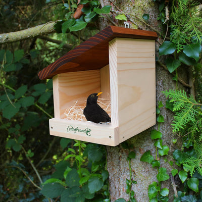 ERDENFREUND® Amsel Nistkasten halboffen extra für Freibrüter/Halbhöhlenbrüter Nistkasten Amsel artge