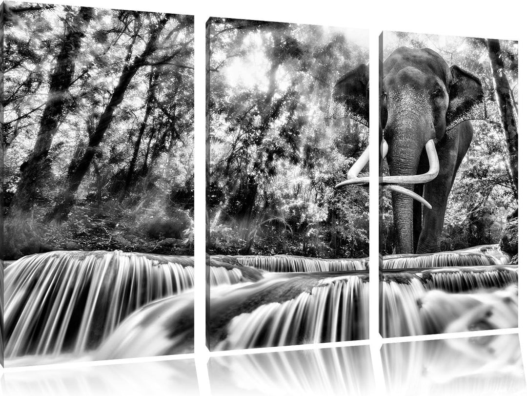 Pixxprint Elefant am Bach als Leinwandbild/Grösse: 3 Teilig (120x80) cm/Wandbild/Kunstdruck/fertig b