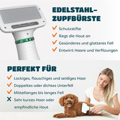 Hundefön, 2-in-1 Haartrockner / Bürste | Perfekt als Fön und Bürste für Hund, Katze oder andere Haus