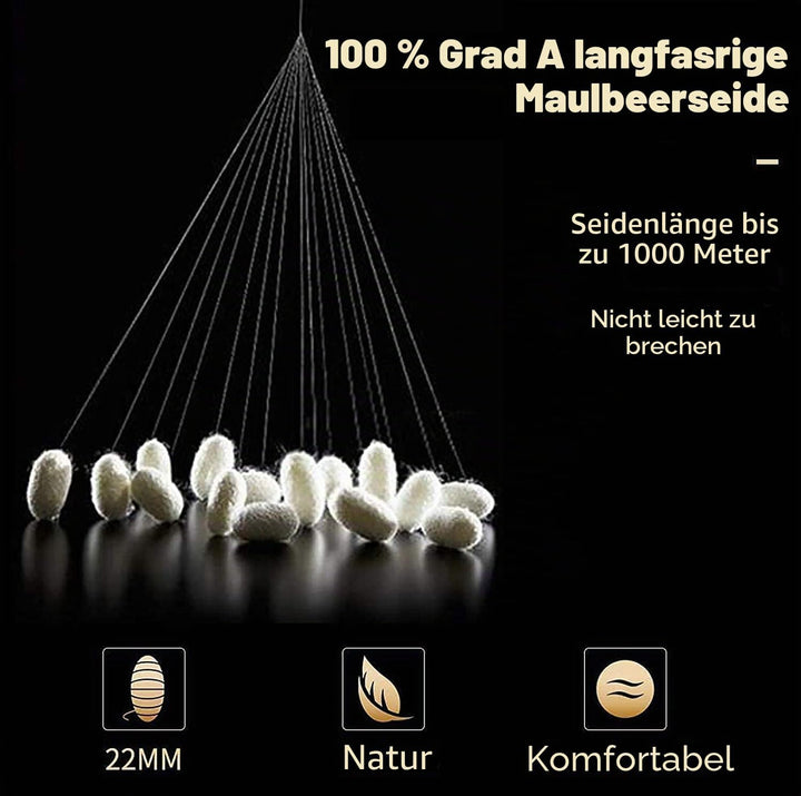 RUIPTSKE Kissenbezug aus Naturseide, hypoallergen, 22 Momme, 100 % Seide, 600 Garne, mit verdecktem