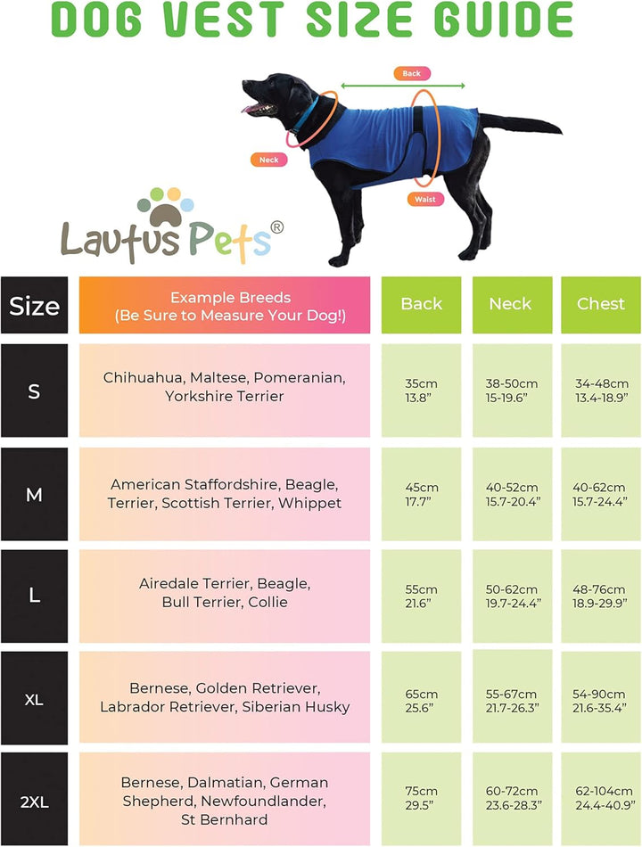 Lautus Pets Hundekühlweste – Leichte Sommerjacke für Kleine Hunde mit Reissverschluss & Klett – Einf