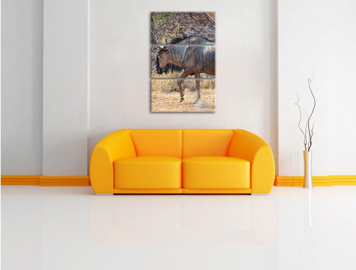 Pixxprint Kaffernbüffel in der Savanne 3-Teiler Leinwandbild 120x80 Bild auf Leinwand