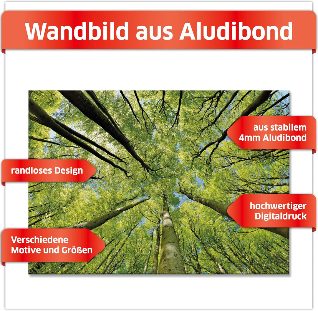 Primus Print - Wandbild Glasbild - Acrylglas Aludibond (Aluminium, Bäume 84,1x59,4 cm) Aluminium Bäu