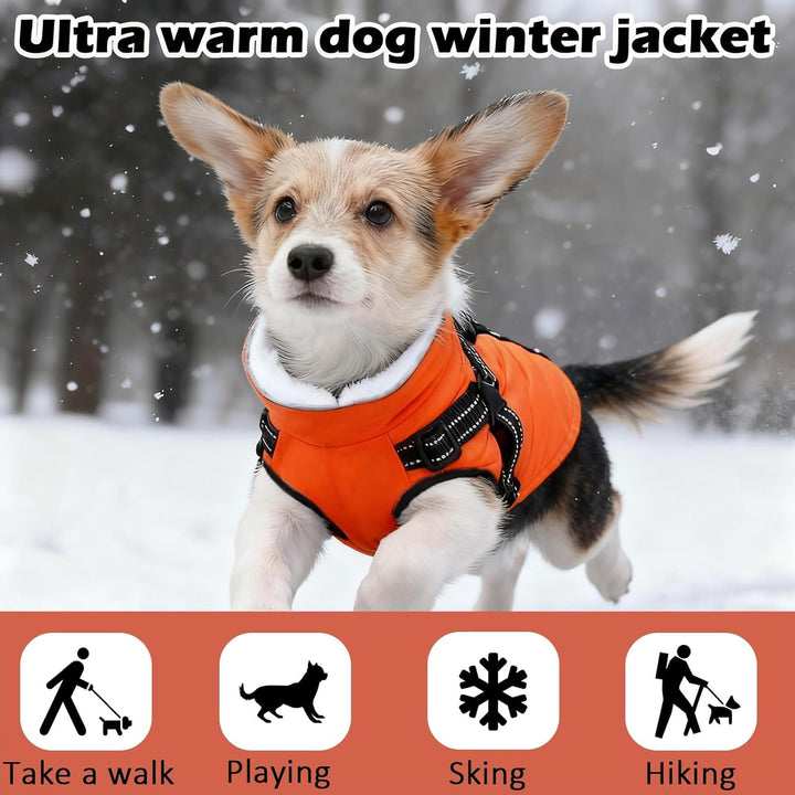 Hundemantel Winter mit Geschirr Einstellbar, ZoneYan Wasserdicht & Warm Hundemantel für Kleine Hunde