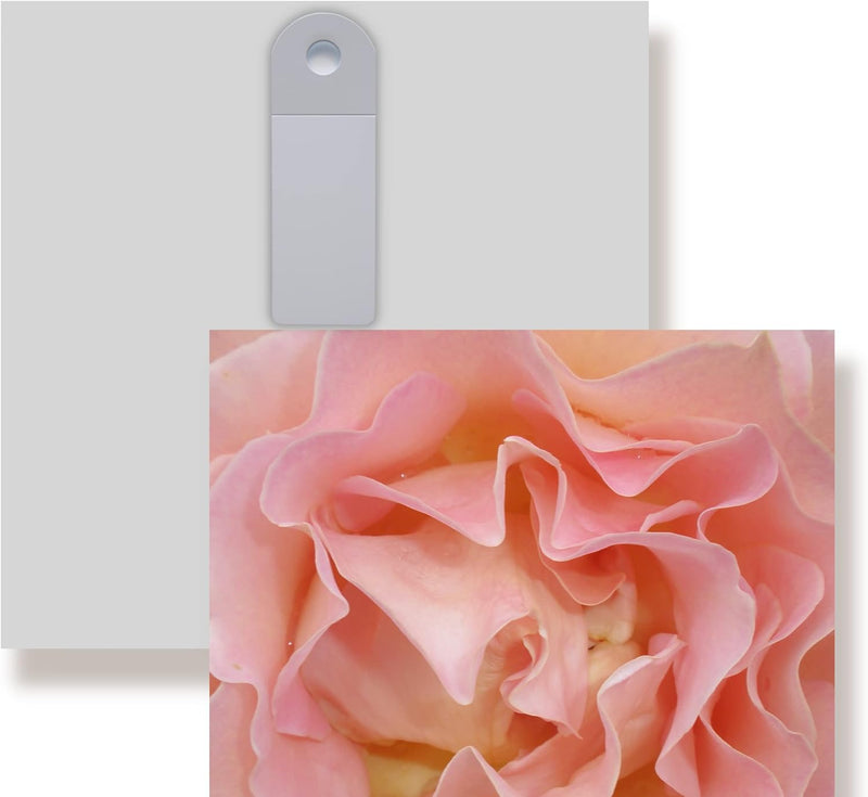WunschPIXEL – Wandbild Blumen auf weissem Acrylglas, Set 4-teilig je 20x20 cm, quadratisch, Rosen, G