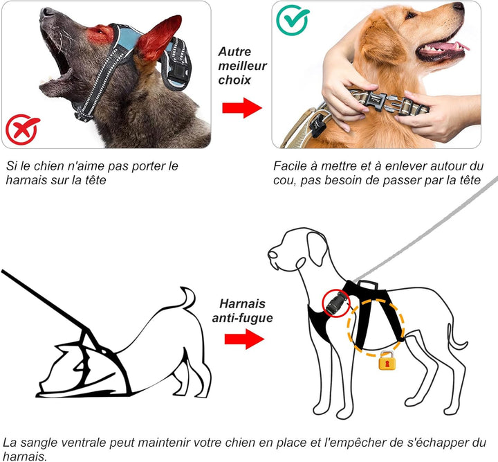 HEELE Hundegeschirr, Ausbruchsicher, Schnalle im Halsbereich, Reflektierend, Brustgeschirr mit Robus