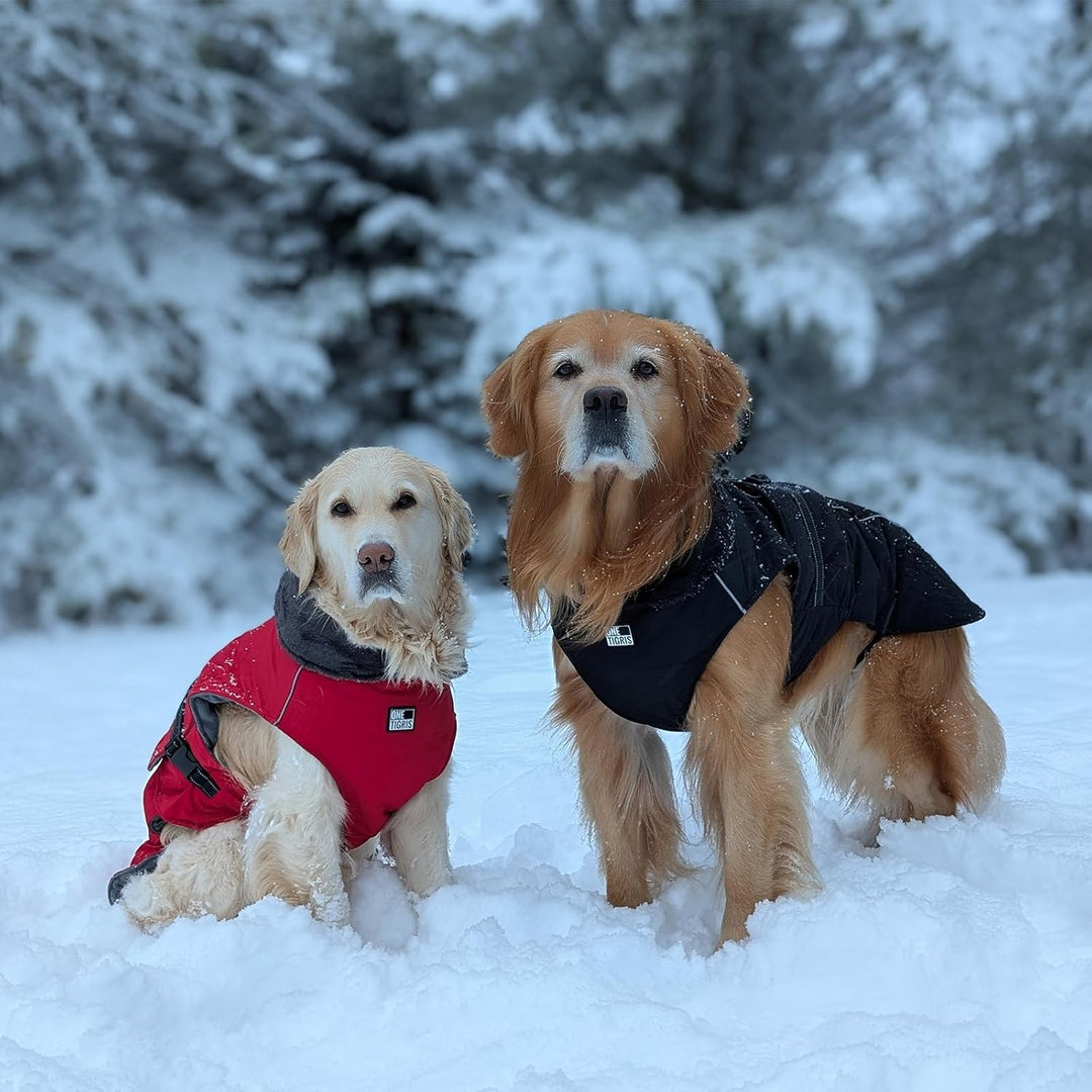 OneTigris Hundemantel, STORMWALL Wasserdicht Hundejacke mit Verstellbarer Rückenlänge Fleecefutter R
