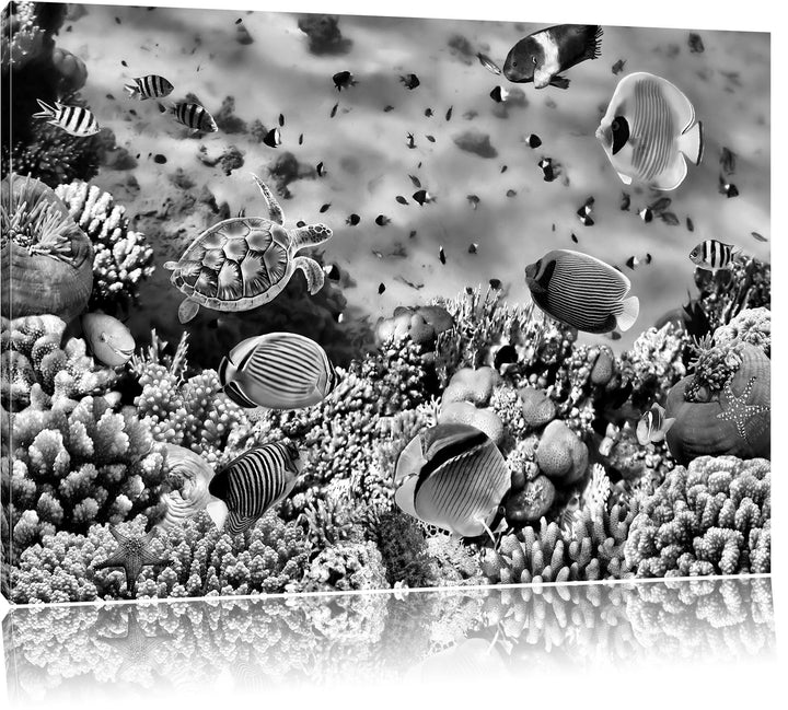 Pixxprint Fische über Korallenriff als Leinwandbild/Grösse: 100x70 cm/Wandbild/Kunstdruck/fertig bes