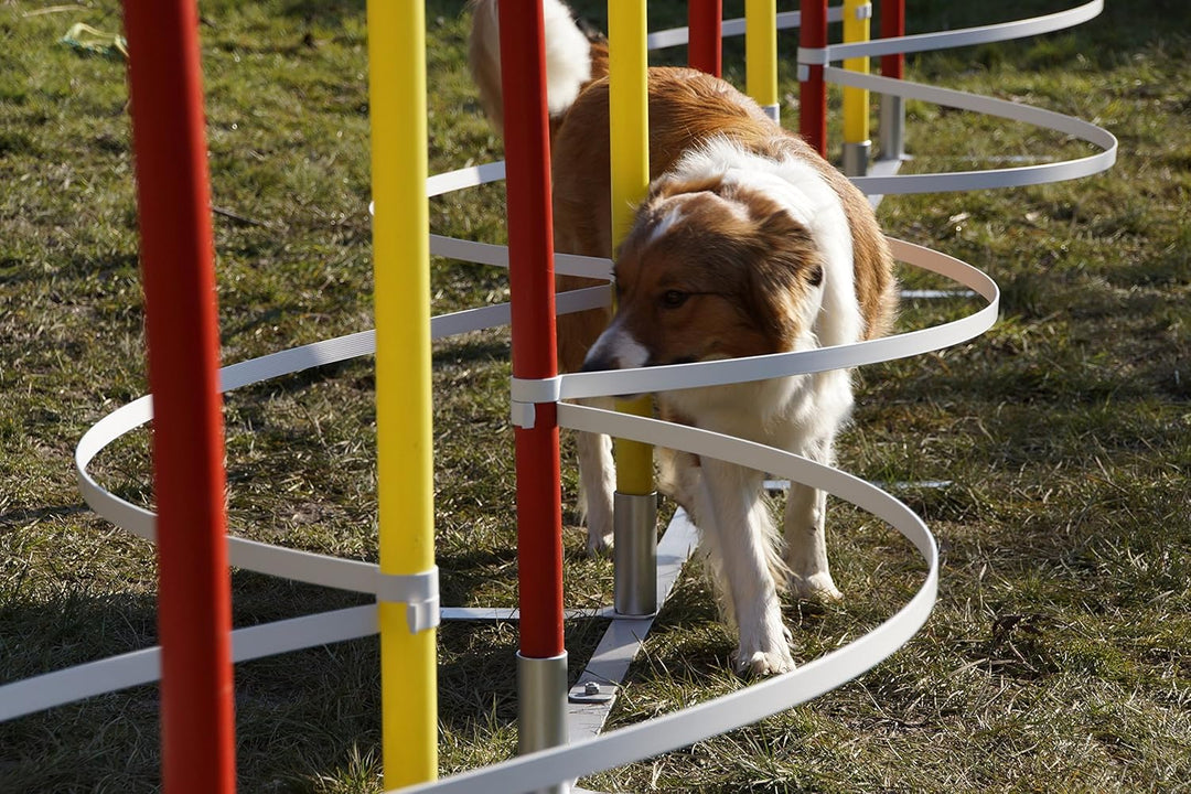 Agility-SLALOMBÖGEN/TRAININGSBÖGEN FÜR SLALOMSTANGEN-Durchmesser 35mm - 37mm, OHNE STANGEN!