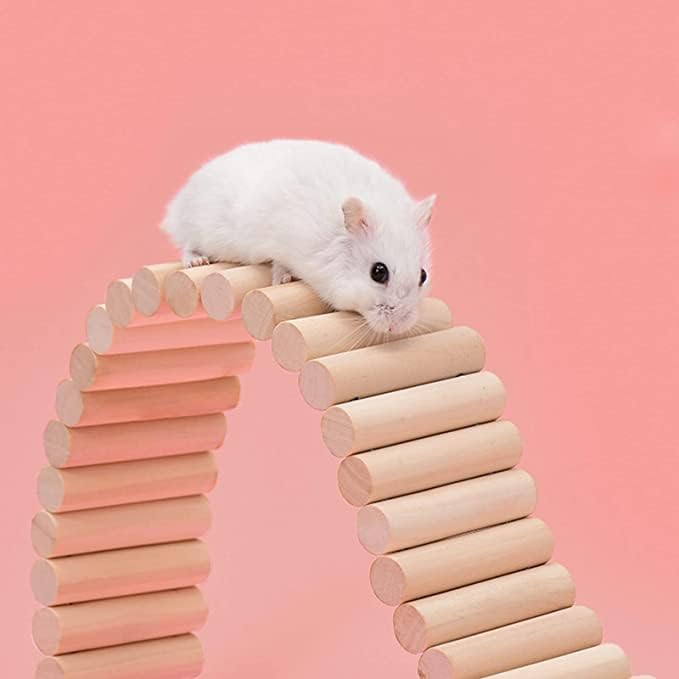 Qcwwy Haustierversteck, Meerschweinchen Holzleiter Brücke Kaninchen Versteck Haus Tunnel Nagetiere K