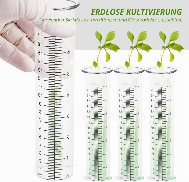 DOITOOL 2 Stück Regenmesser Ersatzglas - 21x5,6cm Frostsicher Borosilikat Glas Messzylinder - Klares