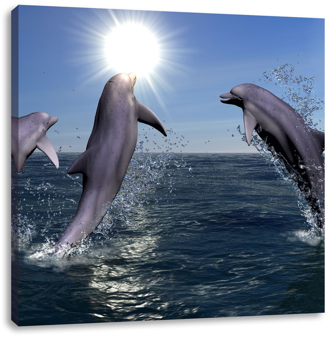 Pixxprint springende Delphine als Leinwandbild Quadratisch/Grösse: 70x70 / Wandbild/Kunstdruck/ferti