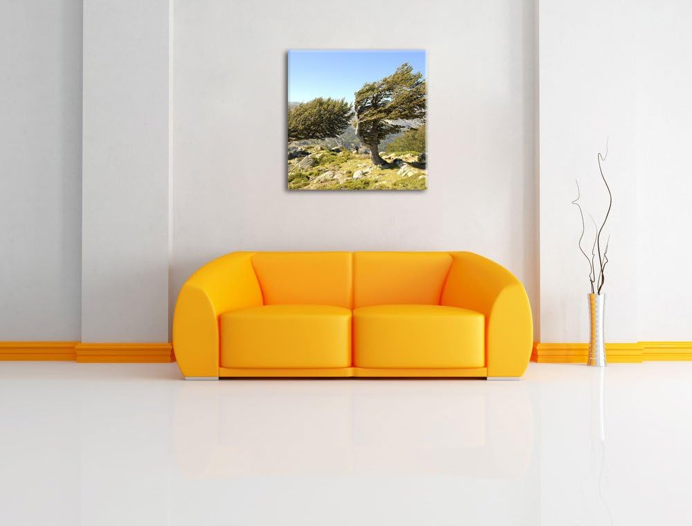 Pixxprint Schiefer Baum, Format: 70x70 auf Leinwand, XXL riesige Bilder fertig gerahmt mit Keilrahme