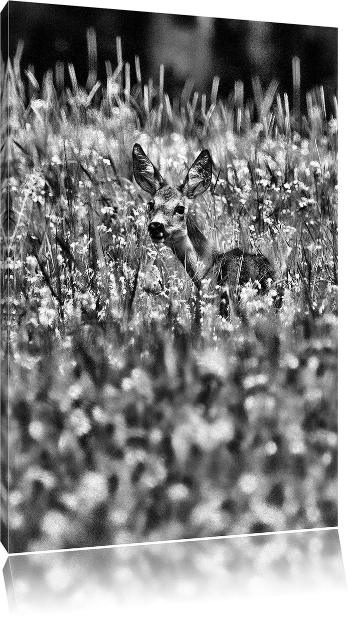 Pixxprint Monocrome, kleines Rehkitz auf Wiese, Format: 100x70 auf Leinwand, riesige Bilder fertig g