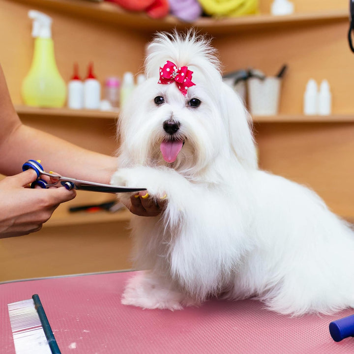 Yaheetech Hundepflegetisch, Trimmtisch für Hunde, Hundefriseur Tisch, Hunde Badetisch, Pudel Fellpfl