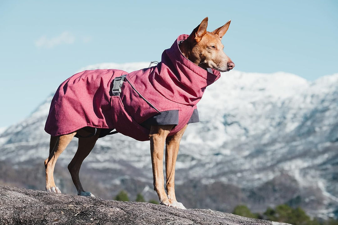 Hurtta Expedition Parka Wintermantel für Hunde, Hundemantel Beetroot, Dunkel Rosa 40XS Rot - Beetroo