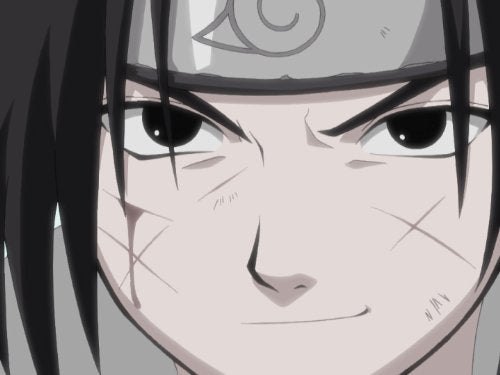 Naruto Gesamt-Box (Special Limited Edition mit 8 Postkarten & Poster) (34 Disc Set), DVD