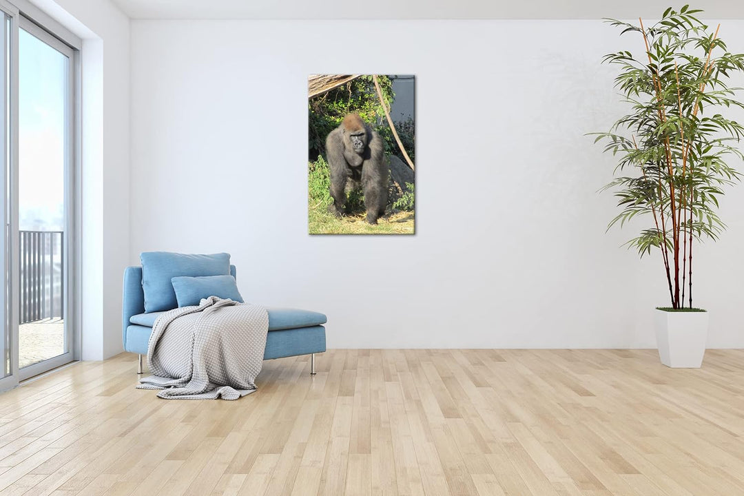 deyoli stolzer Gorilla Format: 80x60 als Leinwand, Motiv fertig gerahmt auf Echtholzrahmen, Hochwert