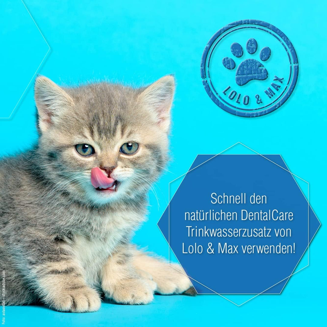 Lolo &amp; Max natürliche Zahnpflege für Hund &amp; Katze - DentaCare Trinkwasserzusatz zur Zahnreinigung fü