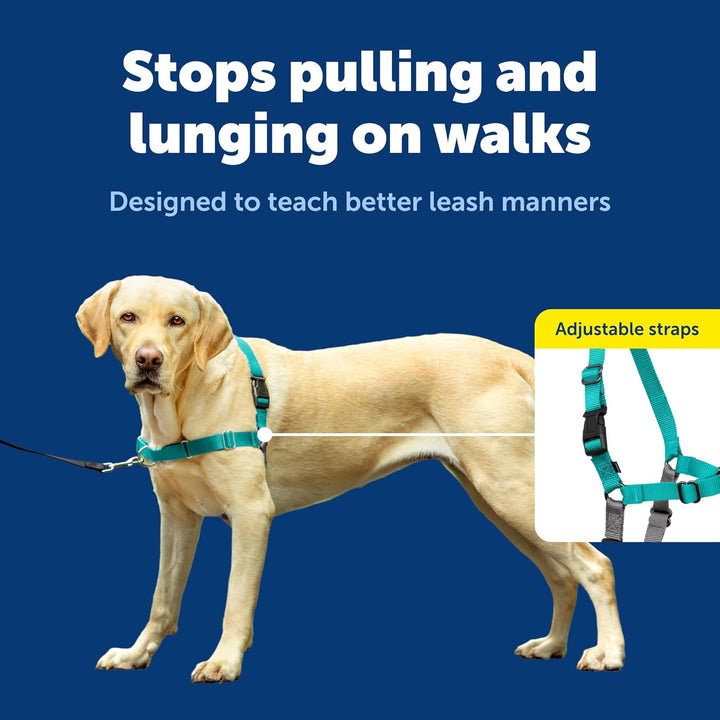PetSafe Easy Walk Hundegeschirr, kein Ziehen, das ultimative Geschirr, um das Ziehen zu stoppen, übe