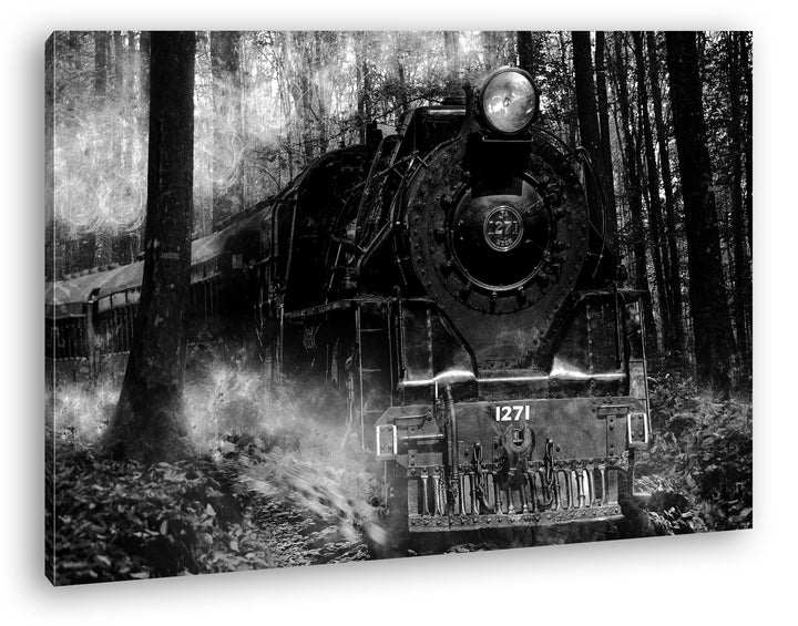 deyoli gewaltige Lokomotive im Wald Effekt: Schwarz/Weiss im Format: 100x70 als Leinwandbild, Motiv