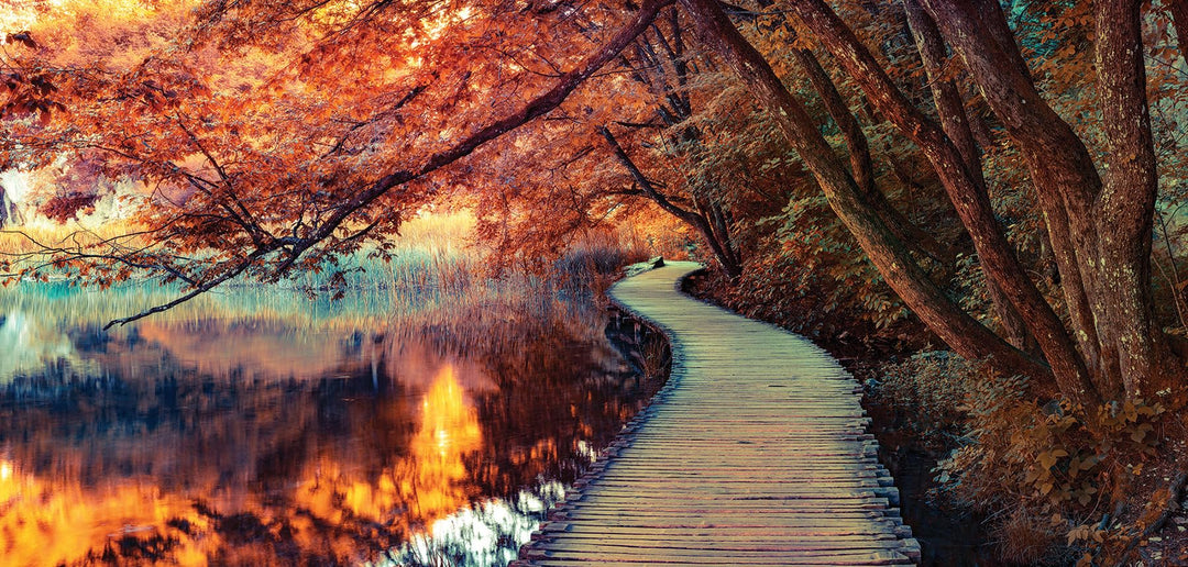 XXL Wandbild 115x55cm Leinwand Herbstfarben Wald Herbst Bild Kunstdruck Deko Wanddeko Leinwandbild S