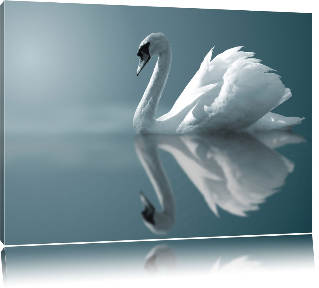 Edler weisser Schwan auf See Format: 100x70 auf Leinwand, XXL riesige Bilder fertig gerahmt mit Keil