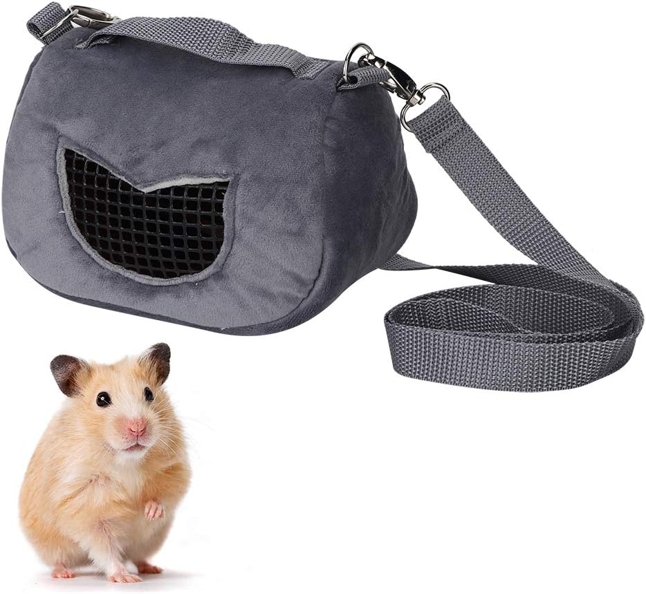 Haustier Tragetasche, Komfortabel, Umweltfreundlich und Atmungsaktiv Eichhörnchen Outing Handtasche