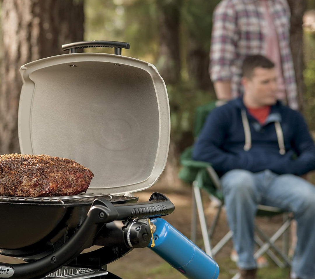 Weber Bratenrost - Klein (20 x 13cm), aus Edelstahl, für indirektes Grillen, passend Q-Serie, Go-Any