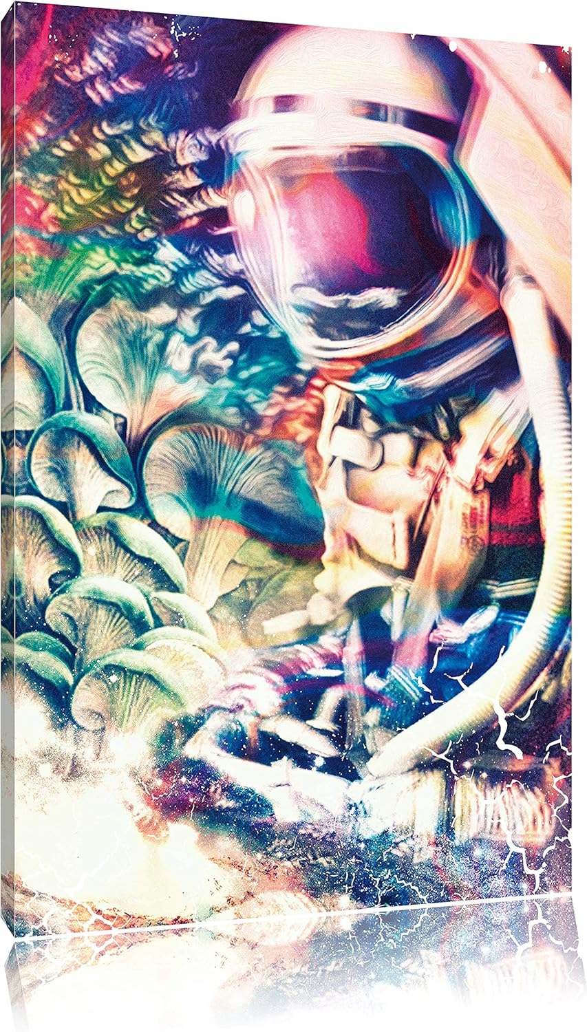 Space trippin Leinwandbild Bild auf Leinwand, XXL riesige Bilder fertig gerahmt mit Keilrahmen, Kuns