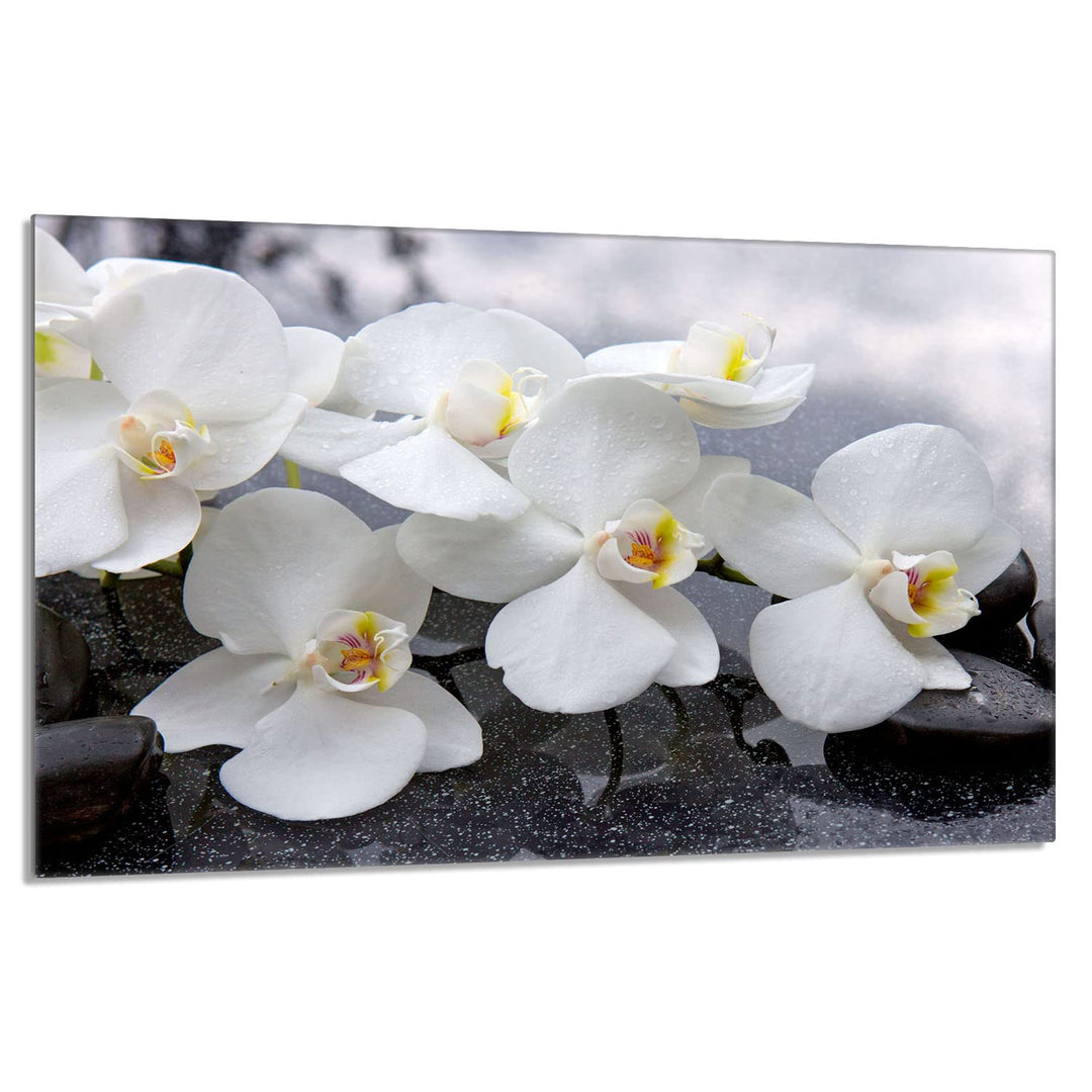 Herdabdeckplatte 80x52 cm 1-teilig Ceranfeldabdeckung Induktion Herdschutz Spritzschutz Glasplatte D