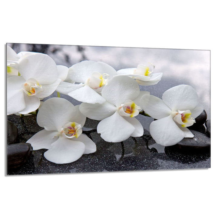 Herdabdeckplatte 80x52 cm 1-teilig Ceranfeldabdeckung Induktion Herdschutz Spritzschutz Glasplatte D