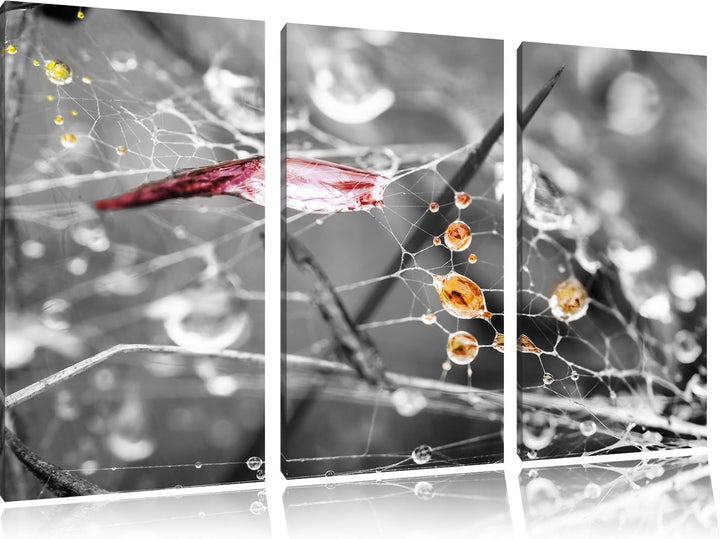 Pixxprint Spinnennetz mit Wassertropfen B&W Detail 3-Teiler Leinwandbild 120x80 Bild auf Leinwand