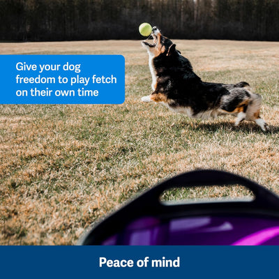 PetSafe Automatisches Hundespielzeug, interaktiver Tennisballwerfer für Hunde, wasserdicht, 1 Stück