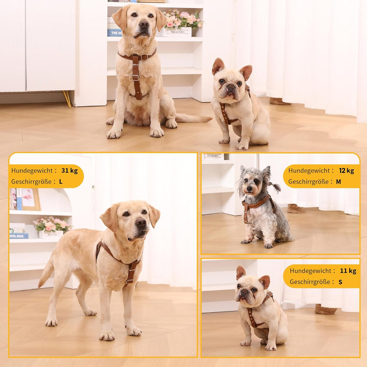 Hundegeschirr Leder Softgeschirr Verstellbare Brustgeschirre Norweger Haustier Ledergeschirr Weichem