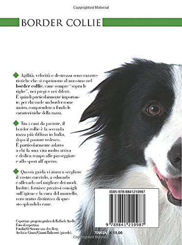 Border Collie: Vita in casa - Educazione - Cure (Cani di razza), Taschenbuch