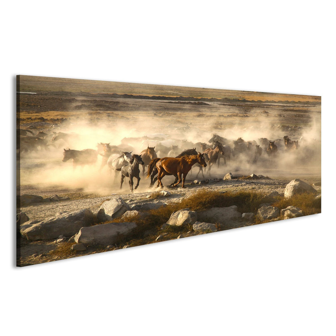 islandburner Bild auf Leinwand Durchgang von Wilden Pferden ist ganzjährig, Pferde Wandbild, Poster,