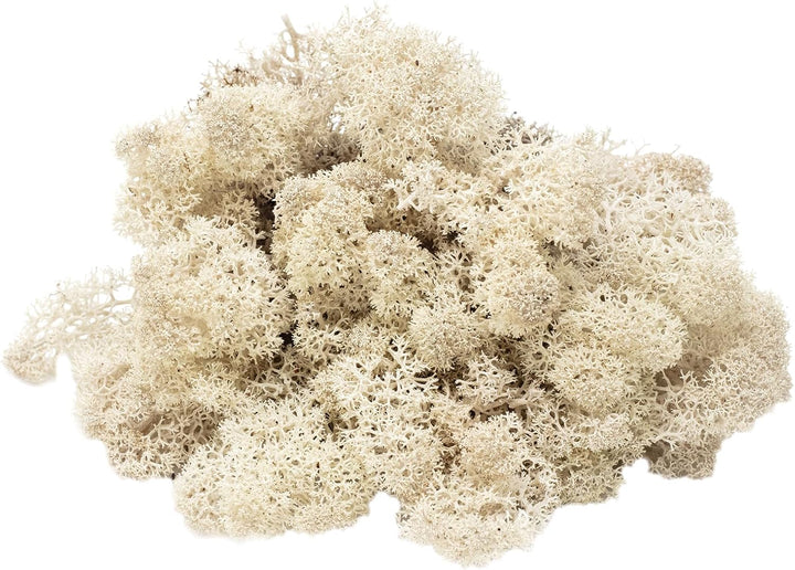 Karton Islandmoos Natur - 500g