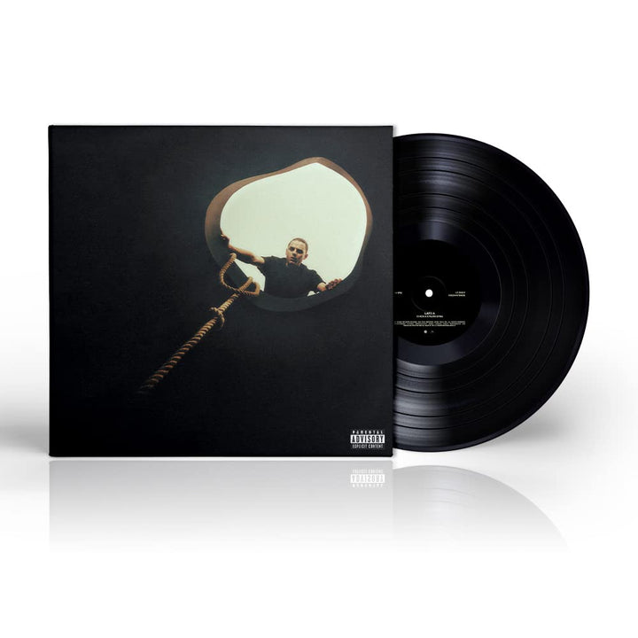 Io Non Ho Paura, Vinyl