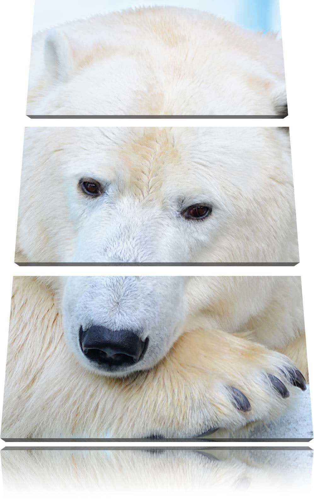 Pixxprint Nachdenklicher Eisbär 3-Teiler Leinwandbild 120x80 Bild auf Leinwand