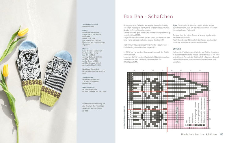 Bunte Socken und witzige Handschuhe stricken. 18 Anleitungen für einzigartige Jacquard-Motive. Lusti