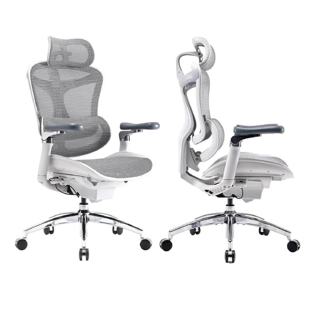 SIHOO Doro C300 Pro Ergonomischer Bürostuhl mit ultraweichen 6D-Armlehnen, dynamischer Lendenwirbels