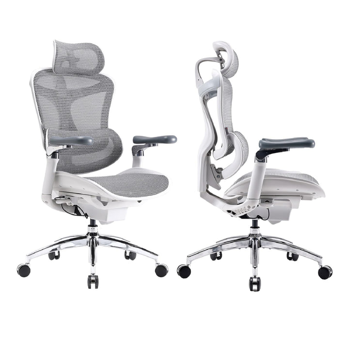 SIHOO Doro C300 Pro Ergonomischer Bürostuhl mit ultraweichen 6D-Armlehnen, dynamischer Lendenwirbels