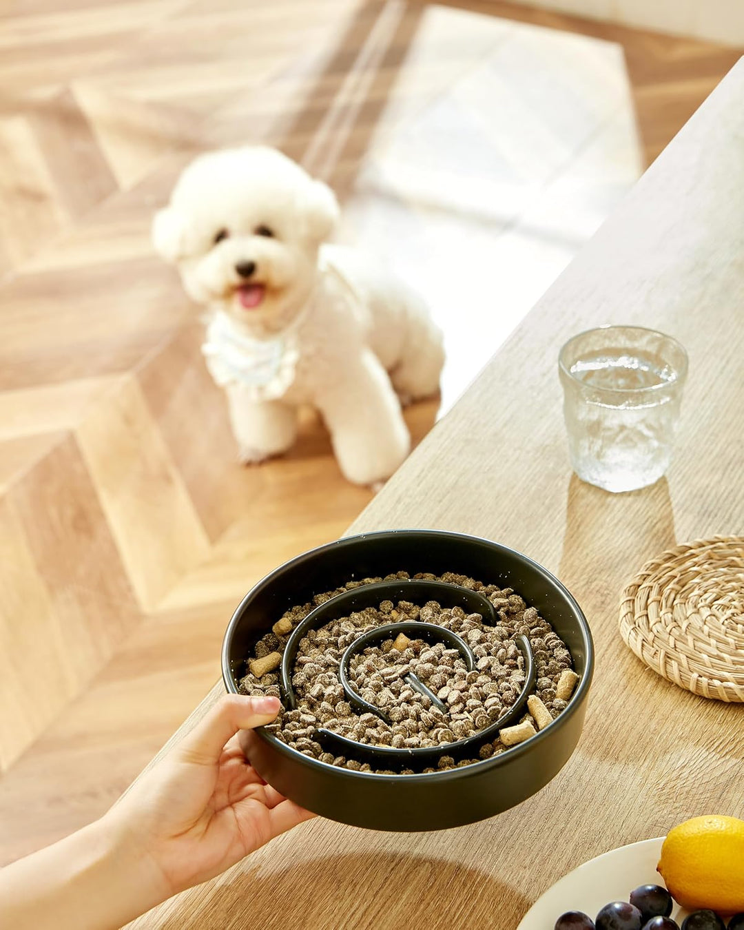 Anti-Schling Napf für Hunde, Keramik Slow Feeder, Langsame Fütterung für Mittelgrosse/Grosse Hunde,