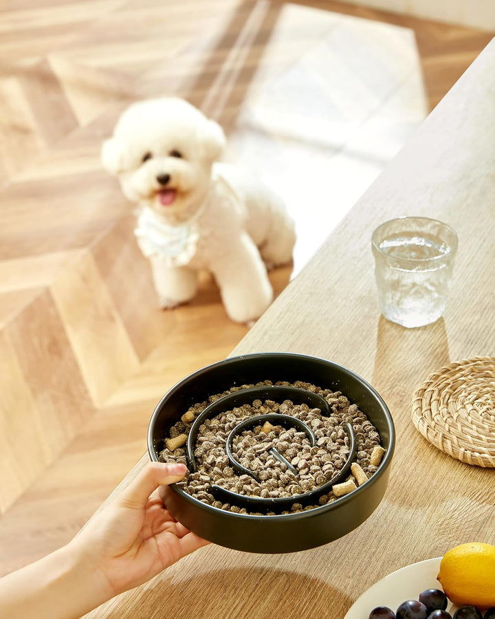 Anti-Schling Napf für Hunde, Keramik Slow Feeder, Langsame Fütterung für Mittelgrosse/Grosse Hunde,