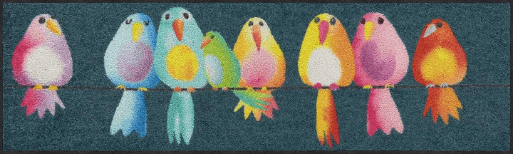 Salonloewe Fussmatte Rainbow Birds 030x100 Minimatte
