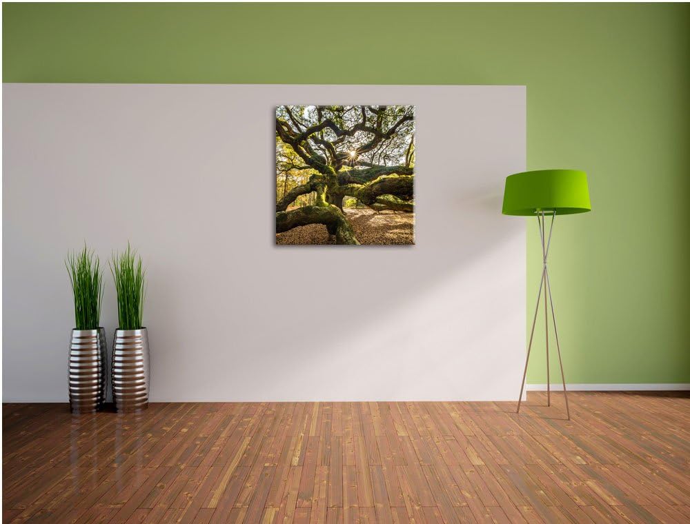 Pixxprint gigantisch verwzeigter Baum, Format: 70x70 auf Leinwand, 70x70
